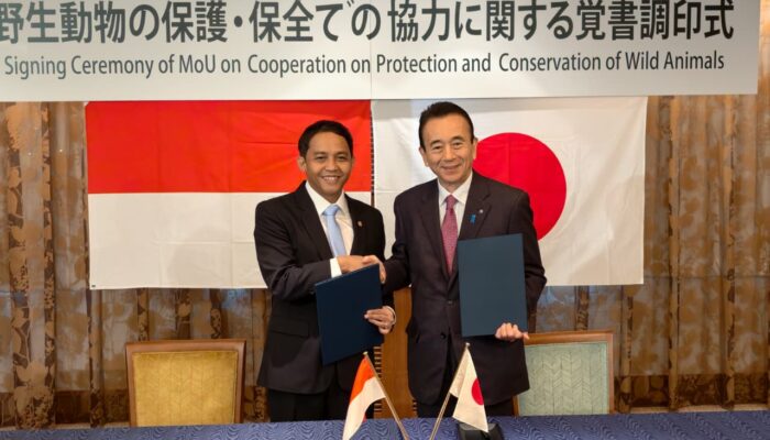 Indonesia dan Jepang Perkuat Diplomasi Hijau melalui Kolaborasi Konservasi Komodo