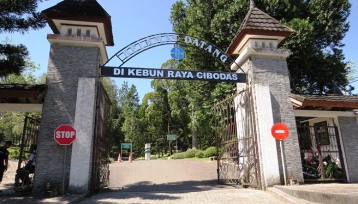 Kunjungan Wisatawan ke Kebun Raya Cibodas Meningkat Setelah Perubahan Sistem Tiket