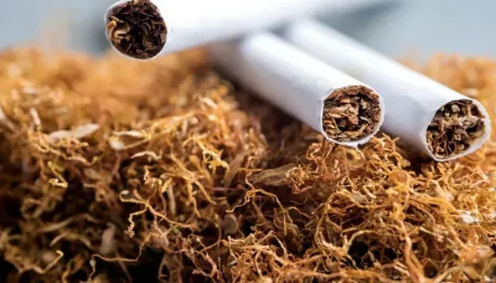 Pembatasan Nikotin dan Tar Dinilai Berisiko bagi Industri Kretek Nasional