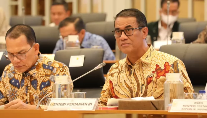 Stok Beras Nasional Capai 4,5 Juta Ton, Rekor Tertinggi Sepanjang Masa