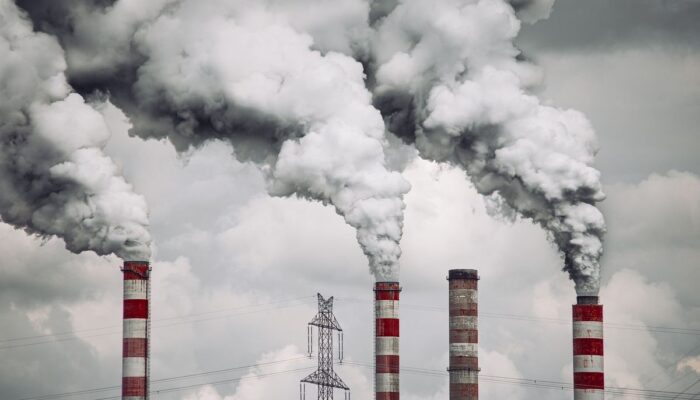 Ekosistem Perdagangan Karbon Diperkuat melalui Regulasi Permenhut