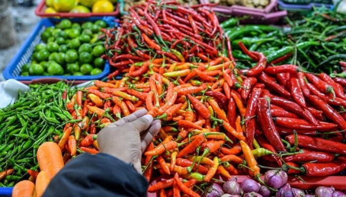 Harga Pangan Terkini: Cabai Rawit Merah Tembus Rp91.700/Kg, Ayam Rp39.800/Kg