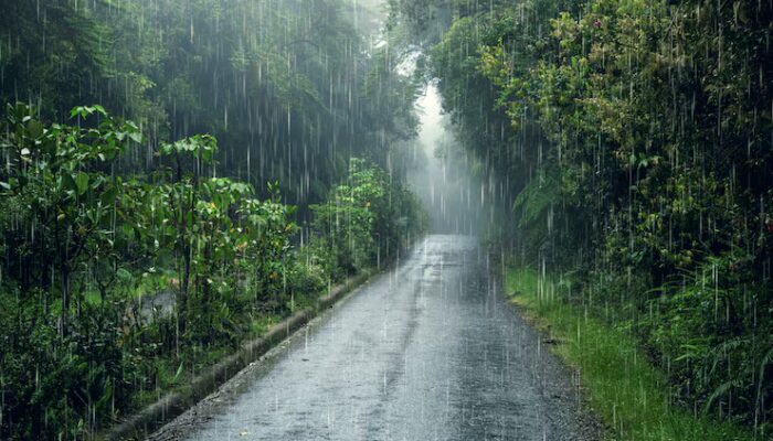 BMKG Peringatkan Potensi Hujan Lebat di Sumatera Utara Besok