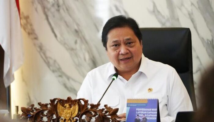 Pemerintah Tahan Kenaikan Harga Tiket Pesawat Lewat Kebijakan PPN Ditanggung